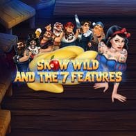 Snow Wild And The Seven Features game icon